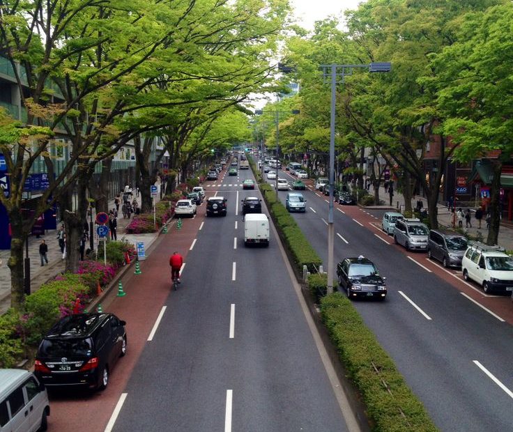 Greening the Roadside: The Importance of Planting Trees Along Streets