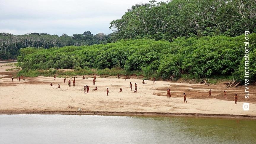 uncontacted amazon tribe